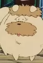 Shindobukku