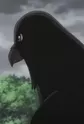 Muu