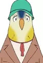 Paradise Parrot