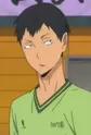 Inagaki, Isao