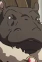 Hippopotamus Representative