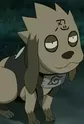 Bisuke