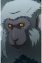 Sarugami