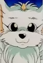 Shiro