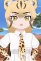 Cheetah