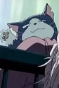 Miyu Miyu