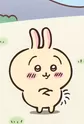 Usagi
