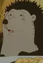 Mr. Hedgehog
