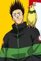 Mashimo, Heisuke