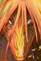 Rui Image