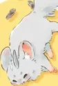 Yinjiao