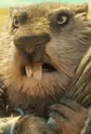Rat Boss