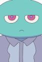 Mucchi