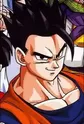 Son, Gohan