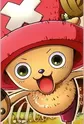 Tony Tony, Chopper