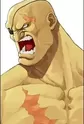 Sagat