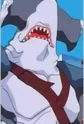 Pirate Hammerhead