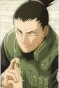 Nara, Shikamaru