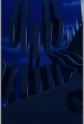 Gambar Karakter Black Vise