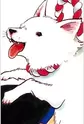 Shiro