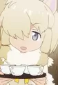 Alpaca Suri