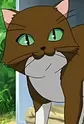 Bear Cat