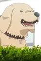 Tarou