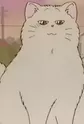 Botan