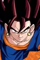 Vegetto