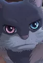 Zinzan
