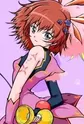 Passel, Rosetta