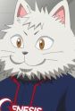 Nyao Image