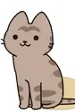 Kijitora