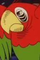 Flint the Parrot