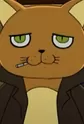 Inspector Cat