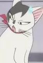 Tama