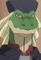 Alligator, DR.