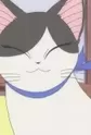 Hana
