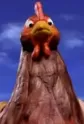 Mother Hen