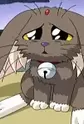 Fuku