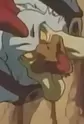 Rakkaru