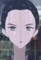 Kikushino