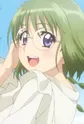 Midorikawa, Lettuce