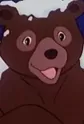 Bear (Rose-Red)