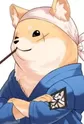 Master Shiba