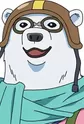 Shirokuma