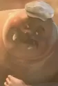 Laoli