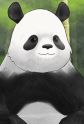 Giant Panda