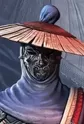 Yuan, Tiangang
