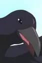 Joe the Crow